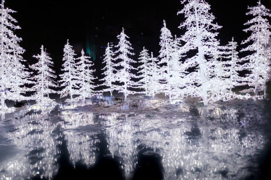 14889751_10153897396266087_709248462881253346_o